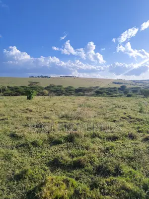 35 Acres for Sale in Inkiito