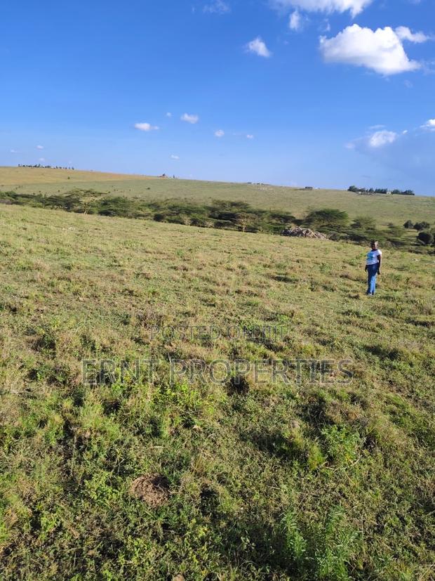 35 Acres for Sale in Inkiito - thumbnail 8