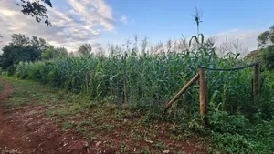 1/8 of an Acre Plot 60 Meters Off Sagana Kagio Road