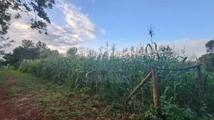 1/8 of an Acre Plot 60 Meters Off Sagana Kagio Road