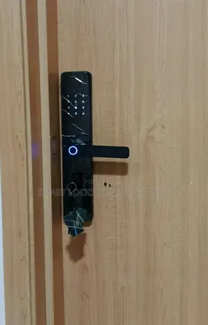 Tuya Wi-Fi Fingerprint Door Lock, Security Smart Lock With Wifi App