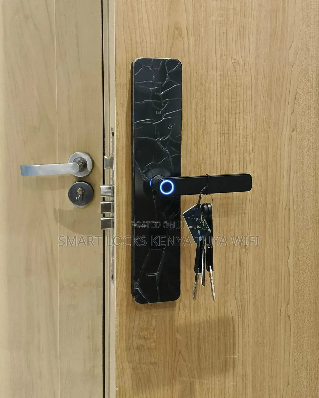 Smart Lock Tuya Wifi Biometric Fingerprint Door Lock