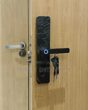 Smart Lock Tuya Wifi Biometric Fingerprint Door Lock