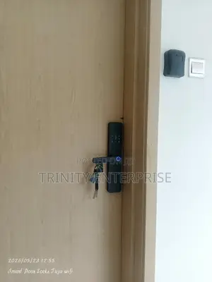 Tuya Biometric Fingerprint Door Lock, Security Smart Lock