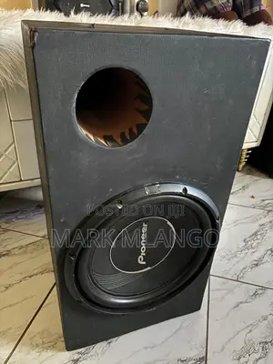Pioneer Speaker