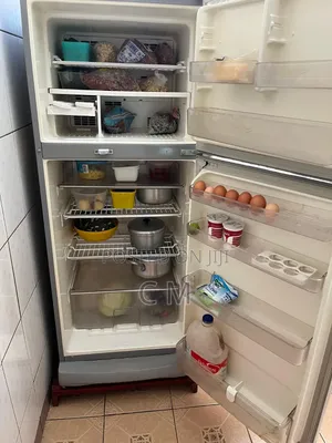 No Frost Fridge