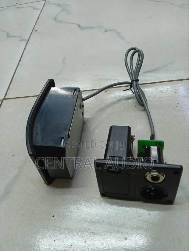 Internal Guitar Pickup - thumbnail 2