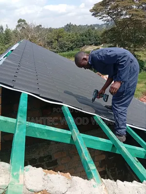 Professional Roofers
