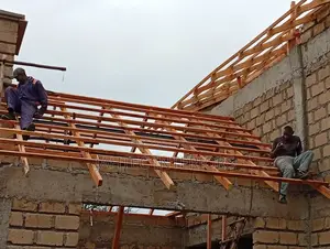 Professional Roofers