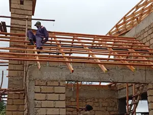Professional Roofers