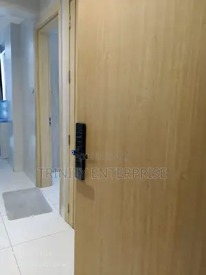 Tuya Wifi Smart Lock With Fingerprint ,Card,Password and App Control