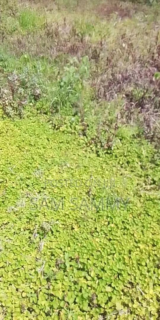 Plot for Sale - thumbnail 2