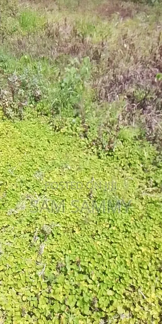 Plot for Sale