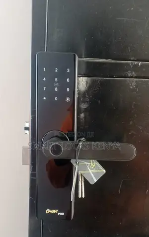 Smart Fingerprint Lock Smart Lock Door BNB Office Home