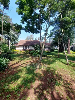 3bdrm Bungalow in Lavington, Muthangari for rent