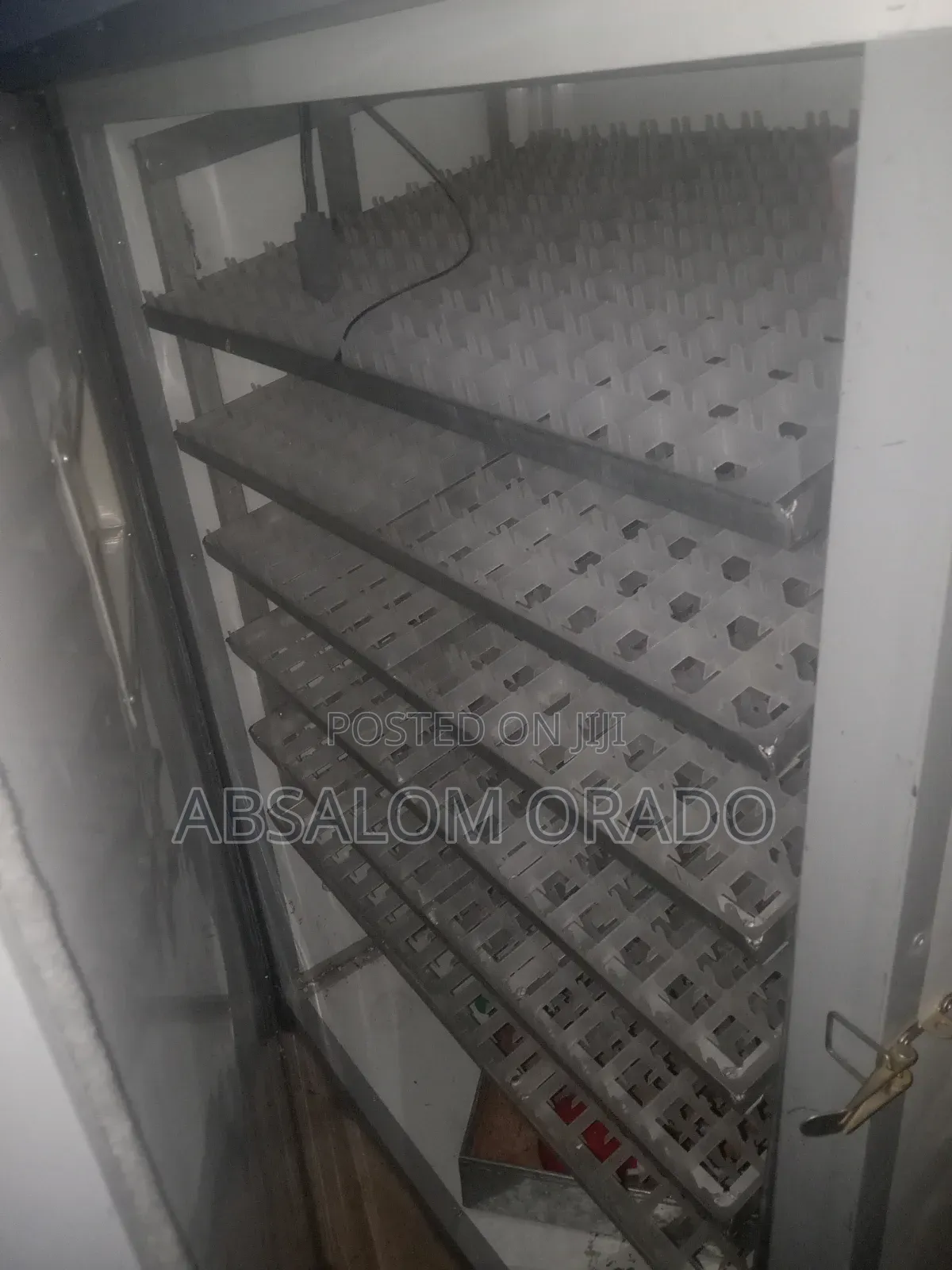 Egg Incubator