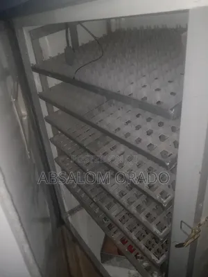Egg Incubator