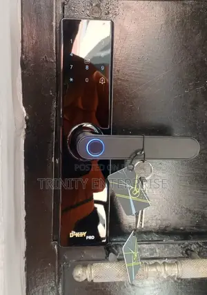 Smart Lock With Wifi App Password Rfid Unlock, Electronic Door Lock