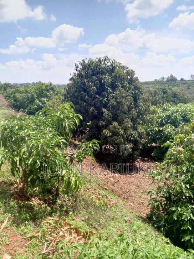 460 Acres of Land in Nakuru With Ready Hass Ovacados 150 Acres Mature