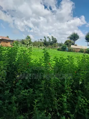 1⁄2 Acre Heni, South Kinangop Off Njabini/ Fryover Rd