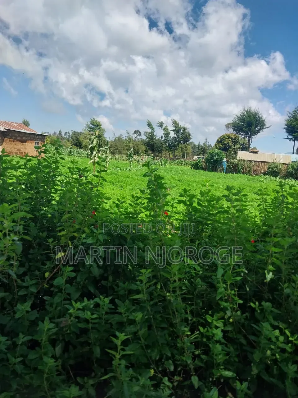 1⁄2 Acre Heni, South Kinangop Off Njabini/ Fryover Rd