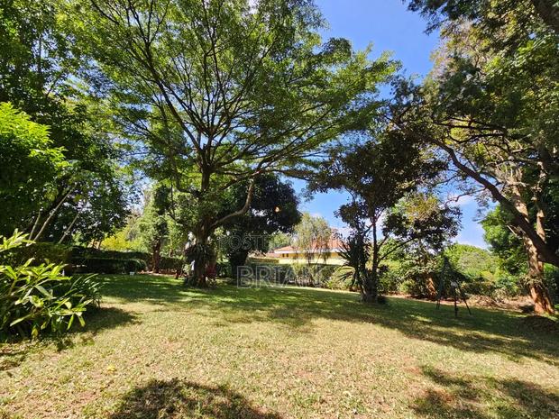 4bdrm House in Nyari for rent - thumbnail 2