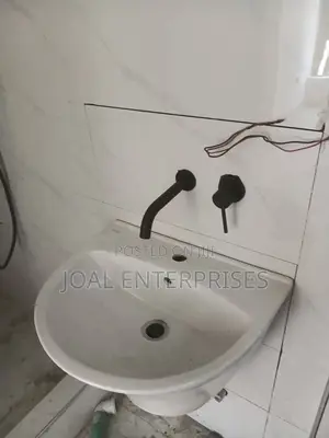 Black Concealed Basin Mixer