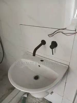 Black Concealed Basin Mixer