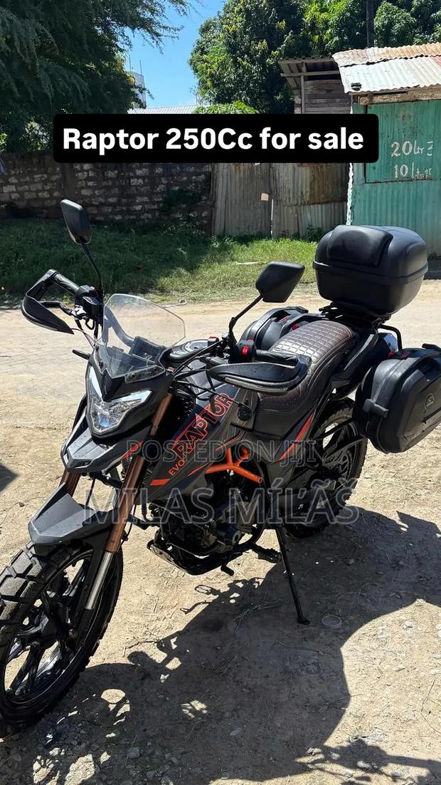 Regal Raptor DY250 2025 Black