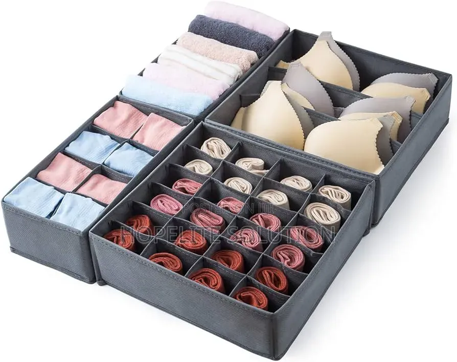 Foldable 4 In1 Under Garment Organizer