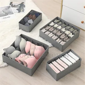 Foldable 4 In1 Under Garment Organizer