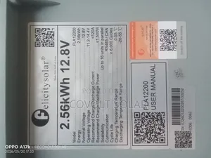 12v 200ah 2.56kwh Felicity Lithium Battery