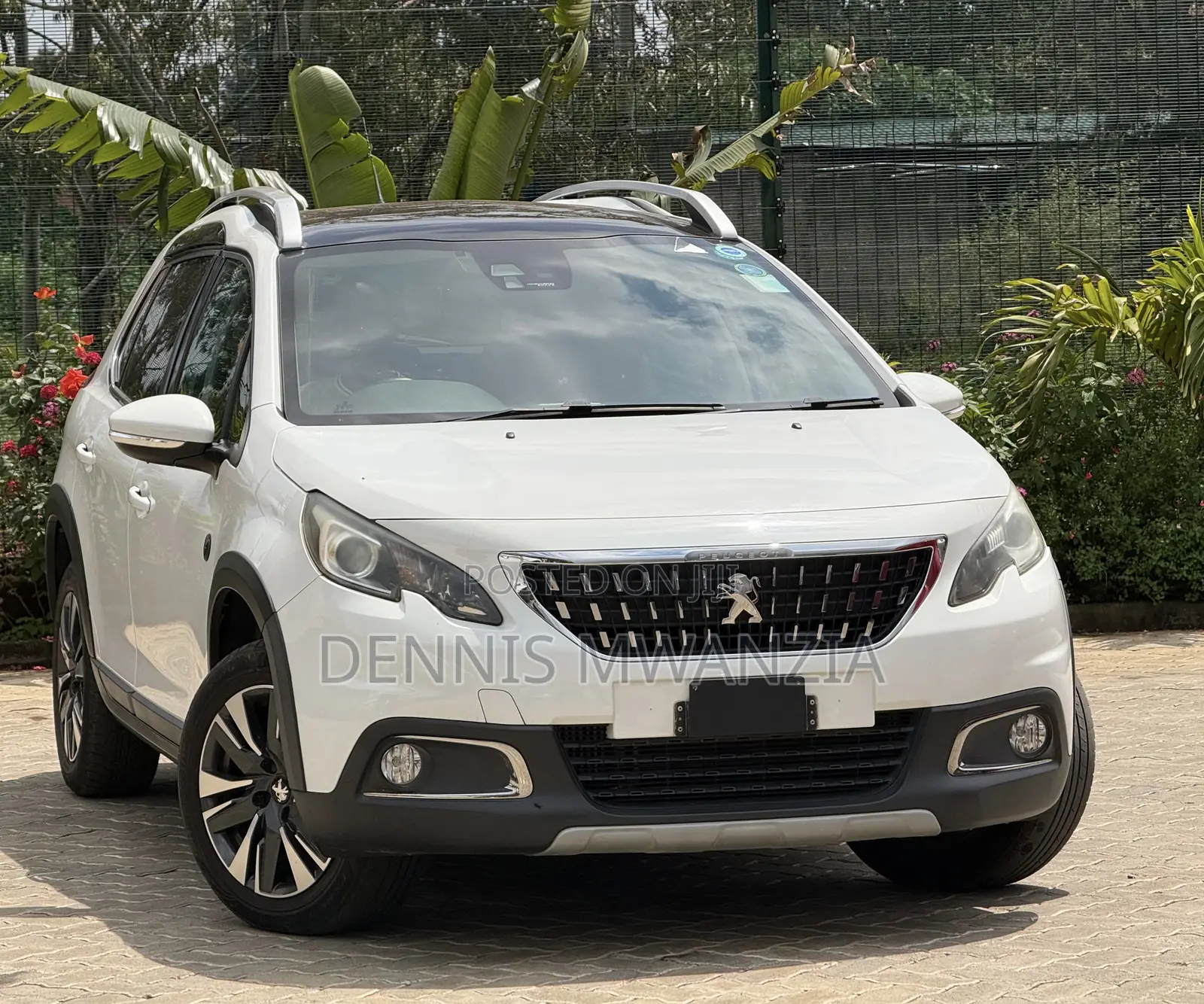 Peugeot 2008 2019 White