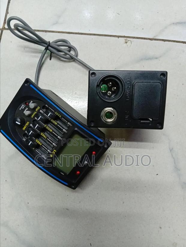 Internal Guitar Pickup