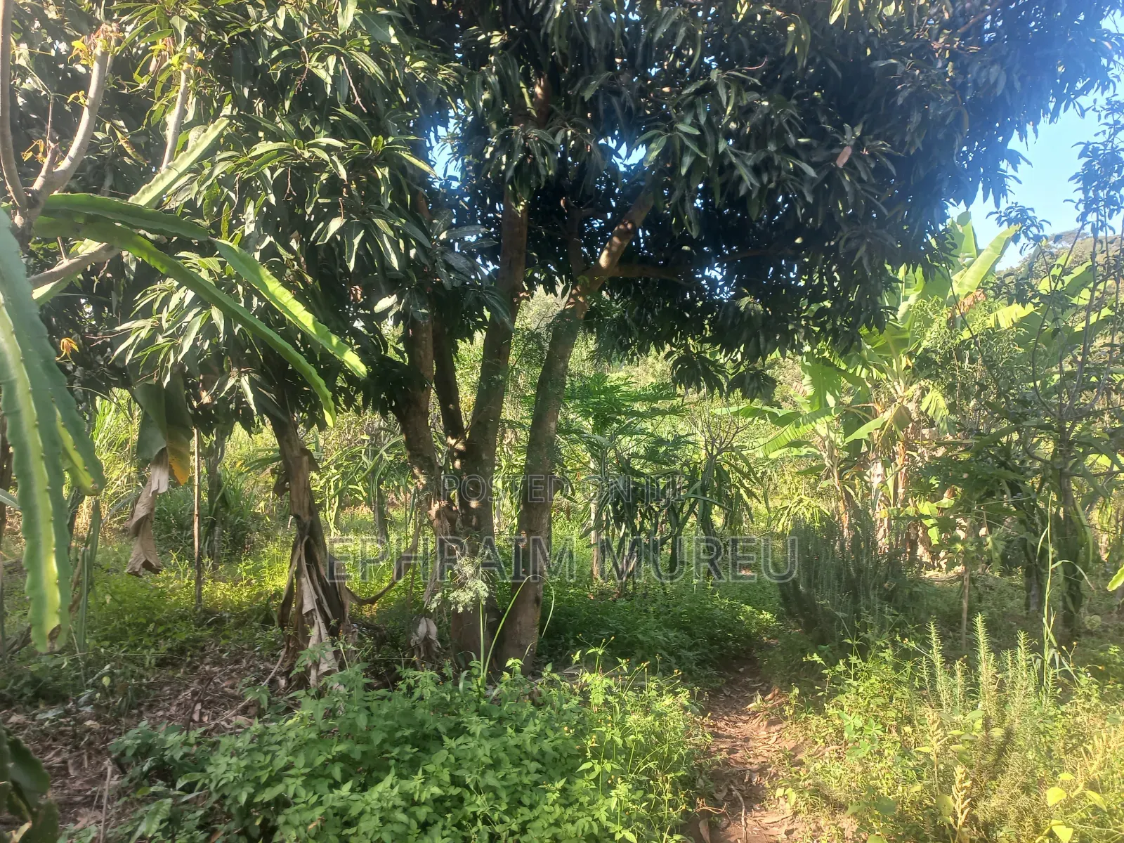 1 Acre Makuyu - Developed -Next to River