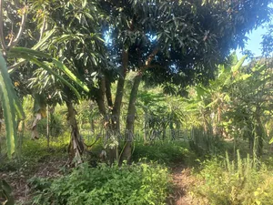 1 Acre Makuyu - Developed -Next to River
