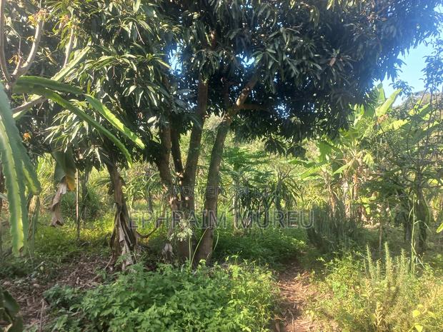 1 Acre Makuyu - Developed -Next to River