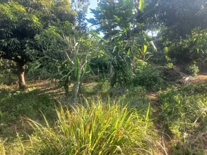 1 Acre Makuyu - Developed -Next to River