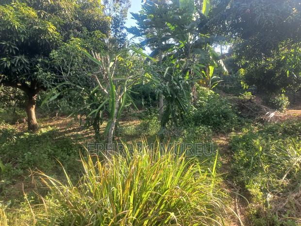 1 Acre Makuyu - Developed -Next to River - thumbnail 4