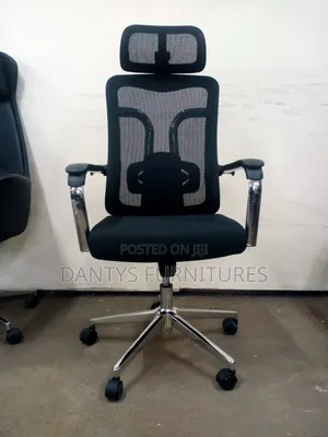Ergonomic Office Chair/Orthopedic Chair
