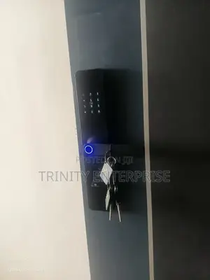 Tuya Smart Fingerprint Aluminum, Black, Fingerprints, Home Airbnb