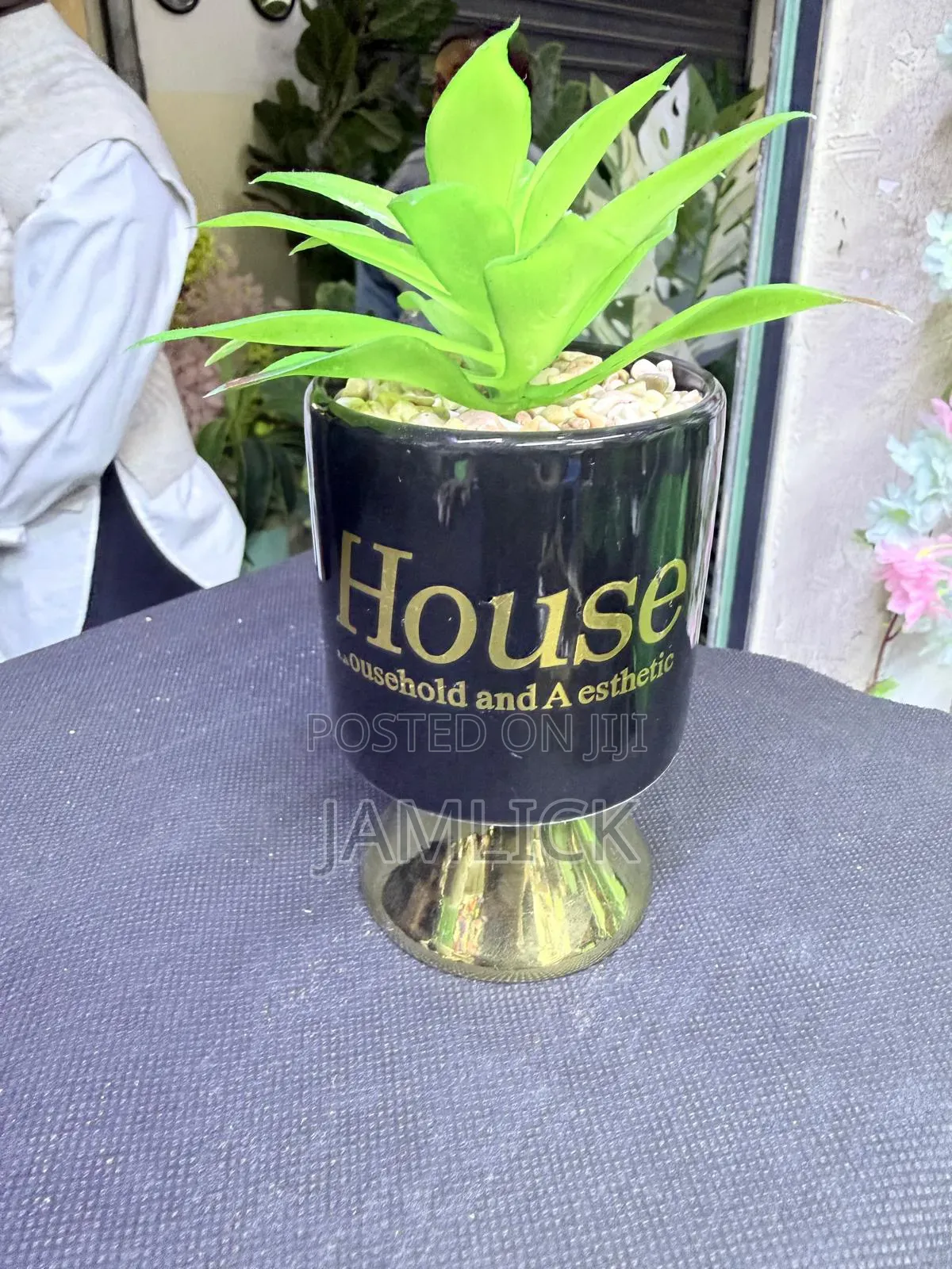 Ceramic Succulent Planters - Ks