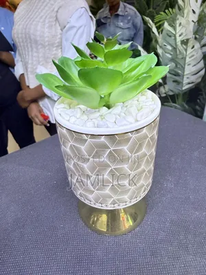 Ceramic Succulent Planters - Ks