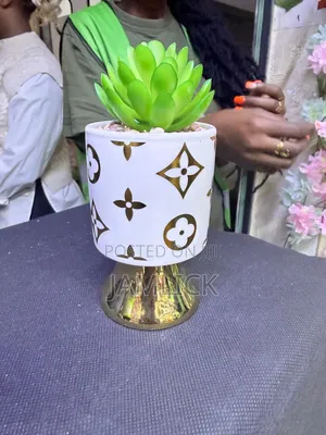 Ceramic Succulent Planters - Ks