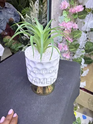 Ceramic Succulent Planters - Ks