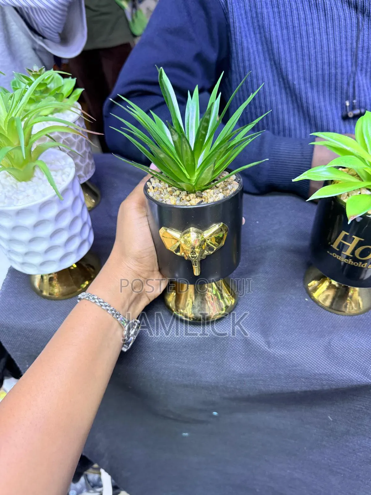 Ceramic Succulent Planters - Ks