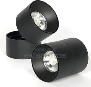Cob Downlight