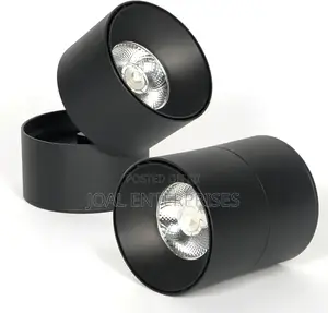 Cob Downlight