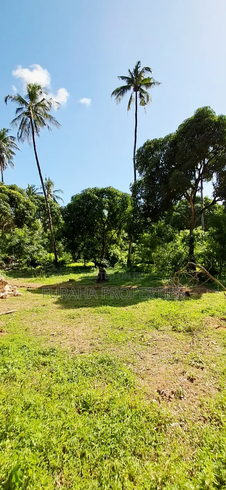 For Sale 1/8 Acre Plots Gated Mtwapa