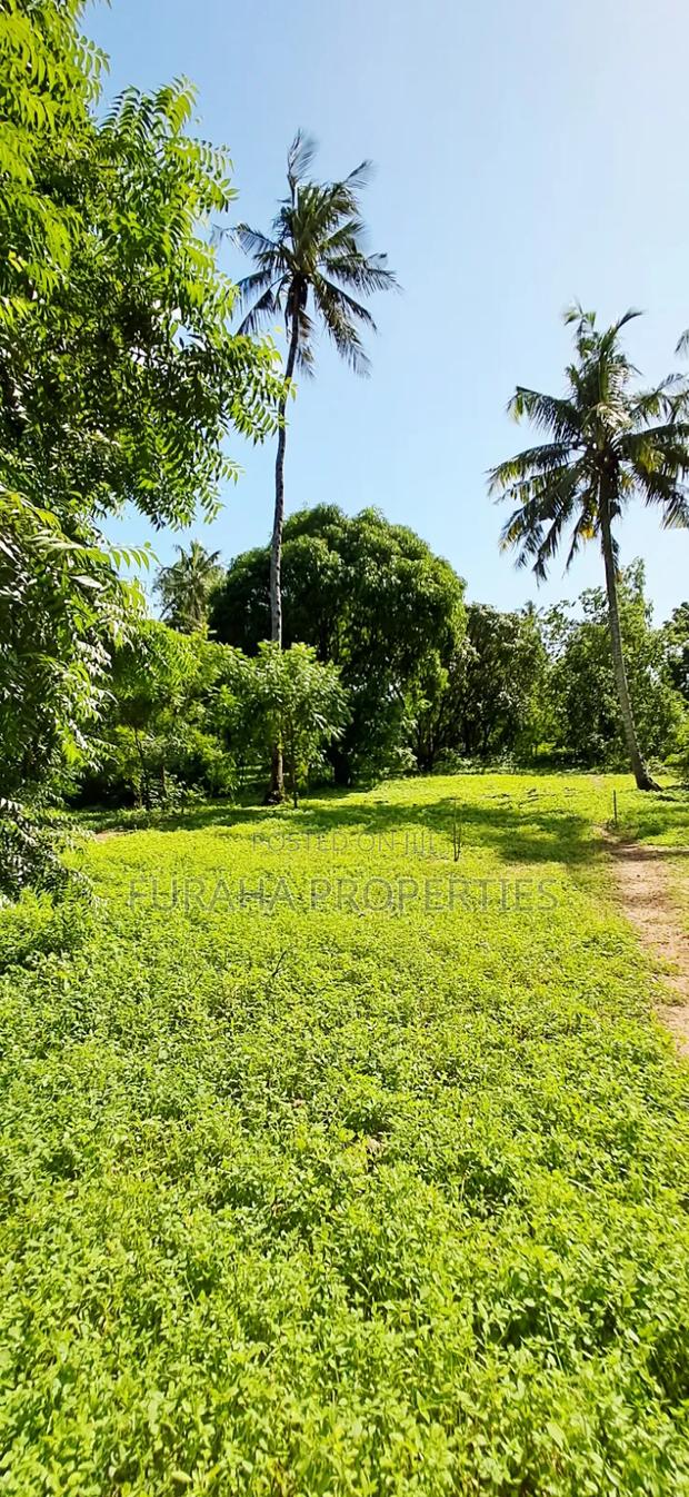 For Sale 1/8 Acre Plots Gated Mtwapa - thumbnail 3